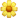 🌼
